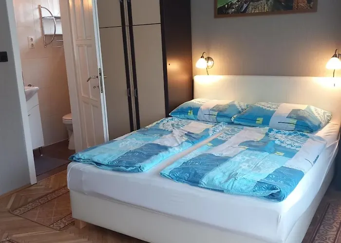 Leander شيوفوك